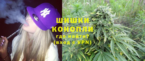 молекула духа Дмитриев
