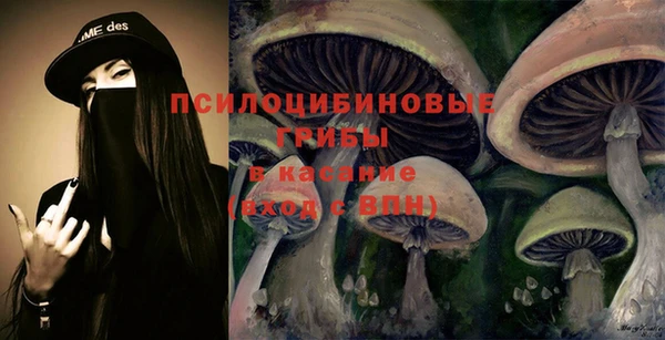 герыч Алексин
