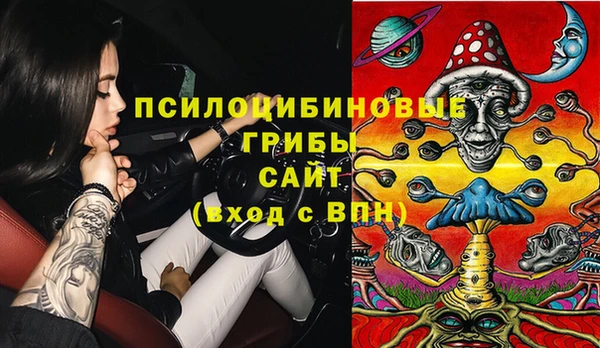 герыч Алексин