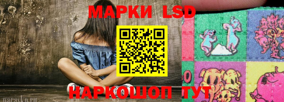 ГАШИШ Нефтекумск
