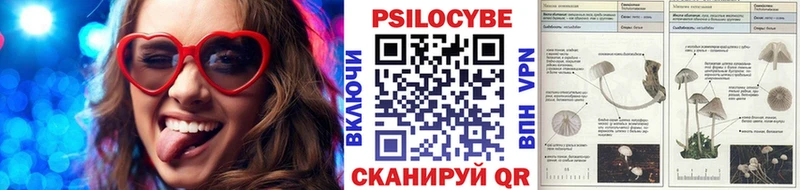 Галлюциногенные грибы Psilocybe  Нефтекумск 