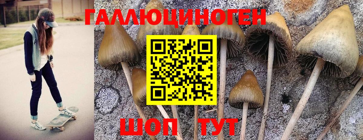 Галлюциногенные грибы Magic Shrooms Нефтекумск
