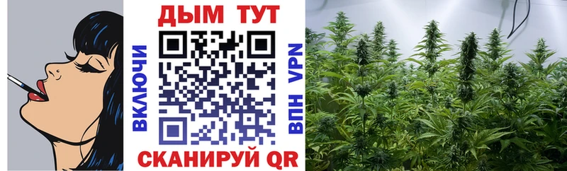 это официальный сайт  Нефтекумск  Шишки марихуана White Widow  кракен сайт 